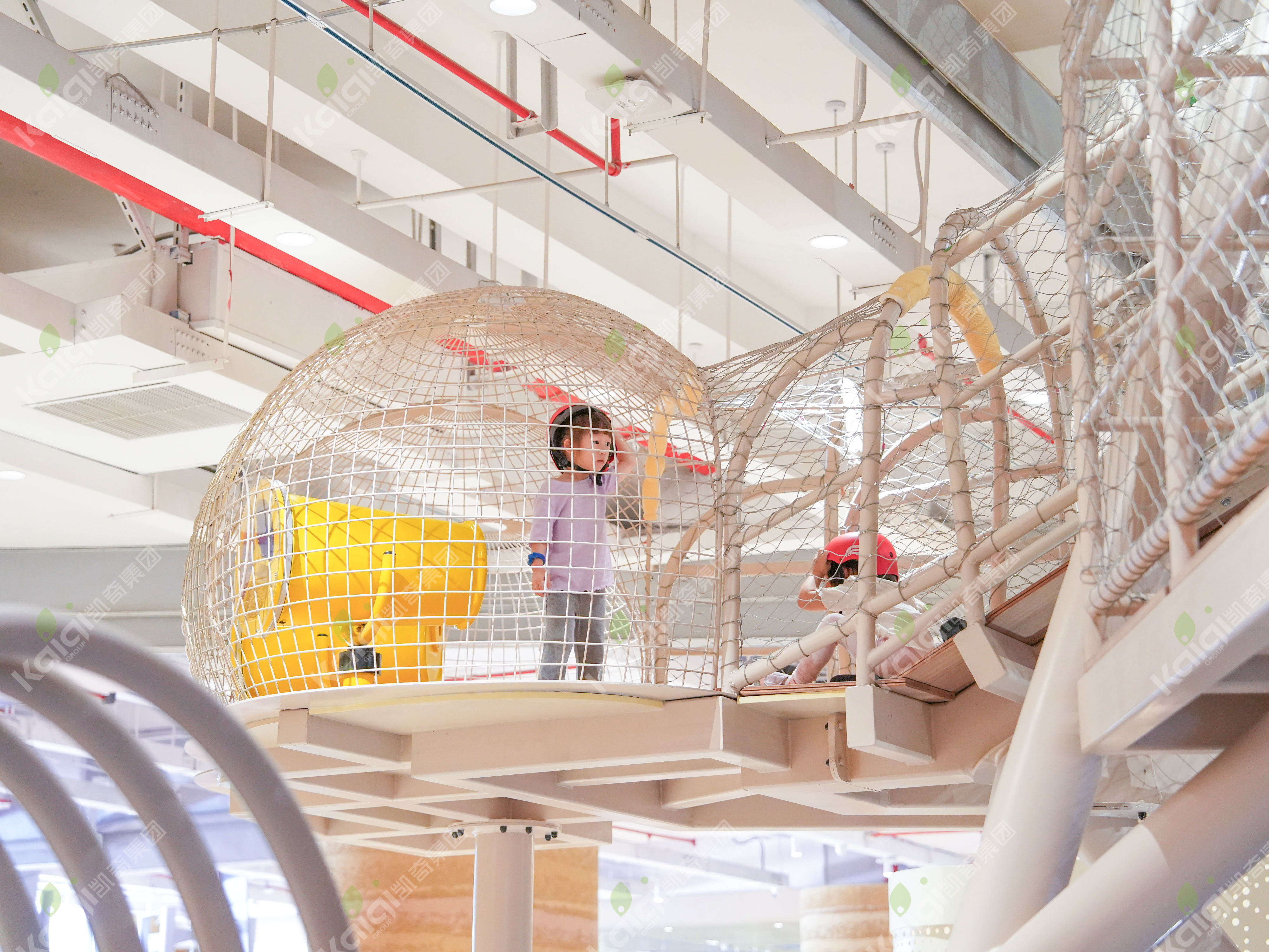 杭州元探索馆 | 攀爬之树，行者之路上的探索与成长