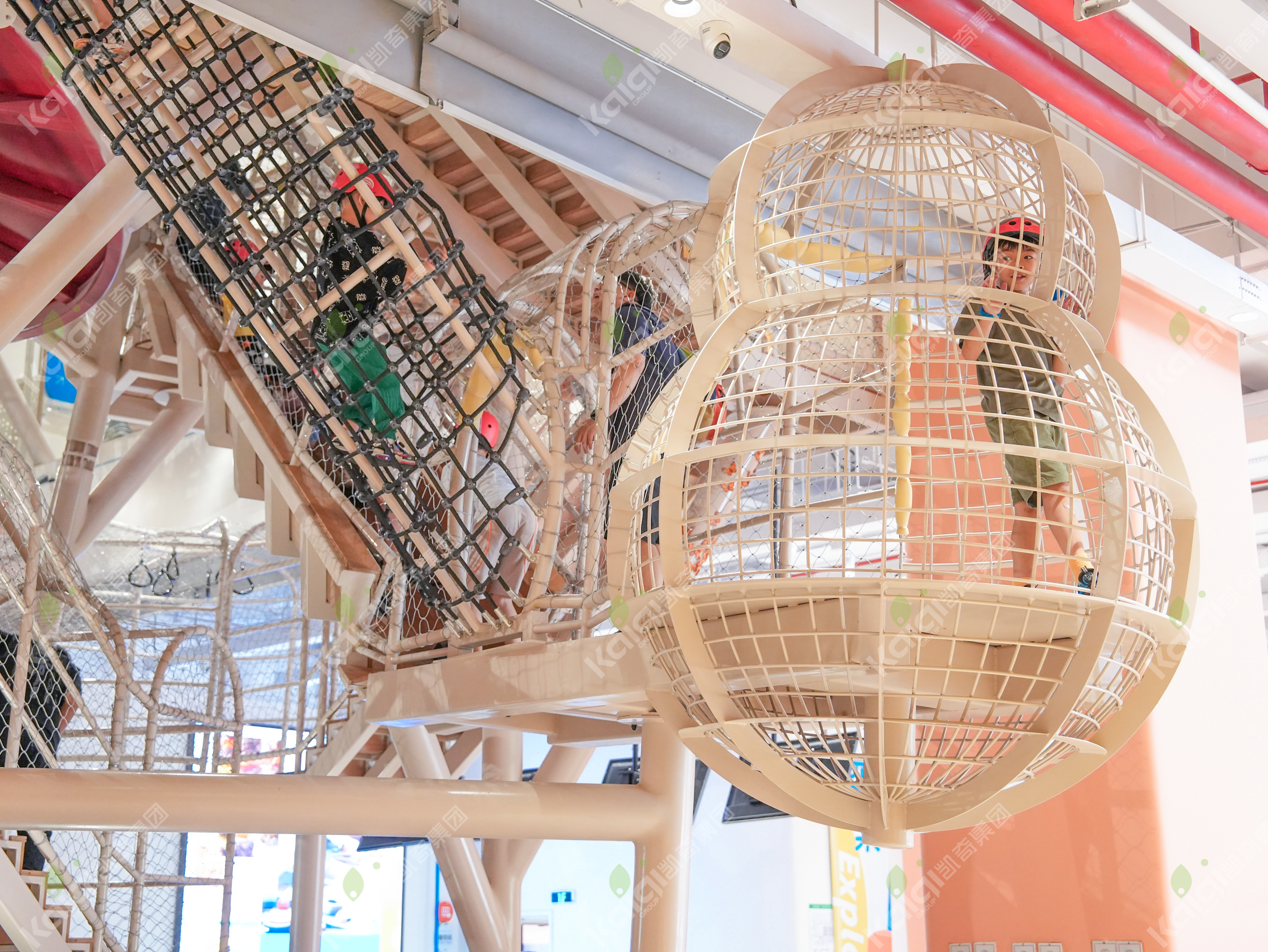 杭州元探索馆 | 攀爬之树，行者之路上的探索与成长