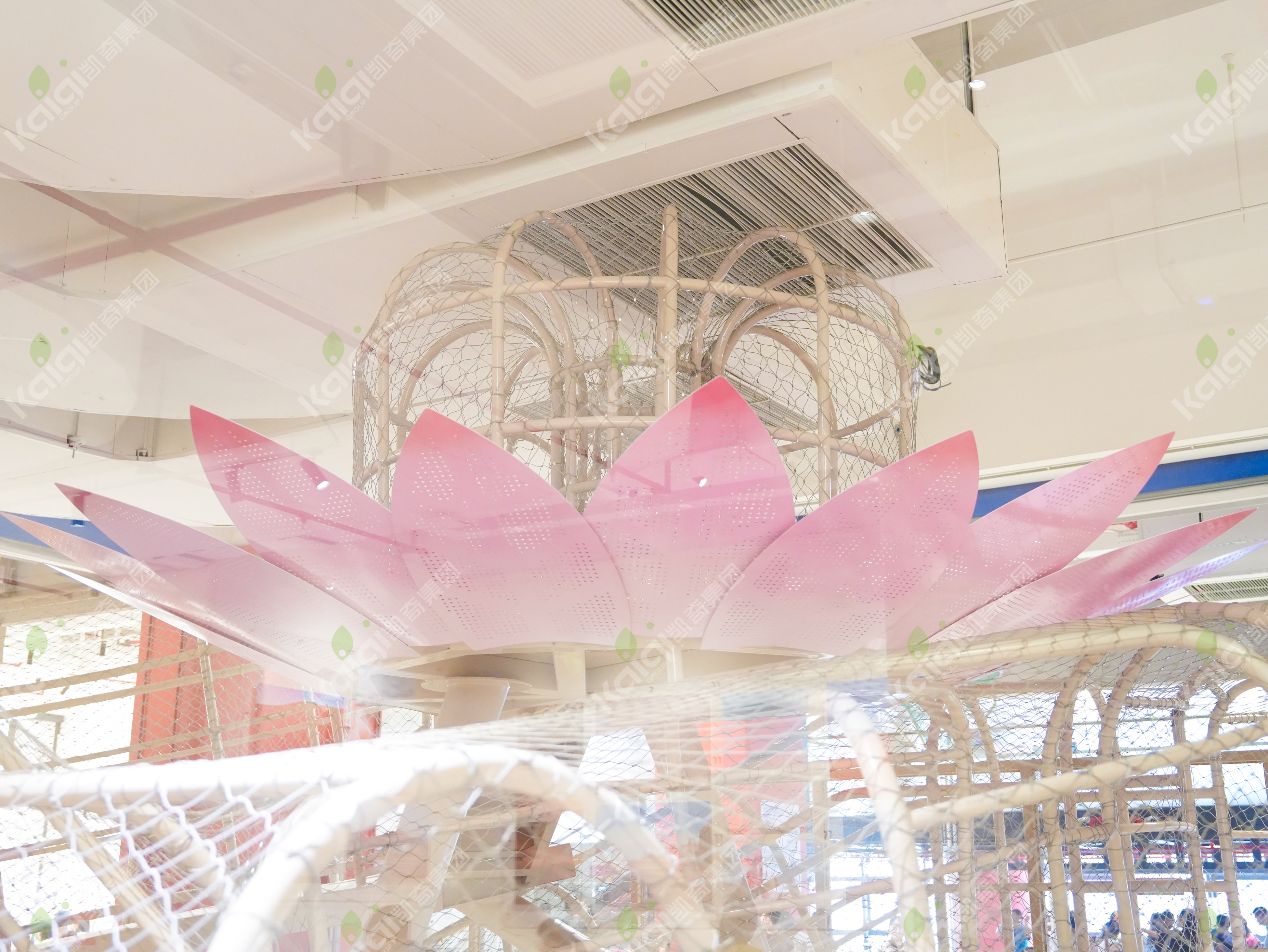 杭州元探索馆 | 攀爬之树，行者之路上的探索与成长