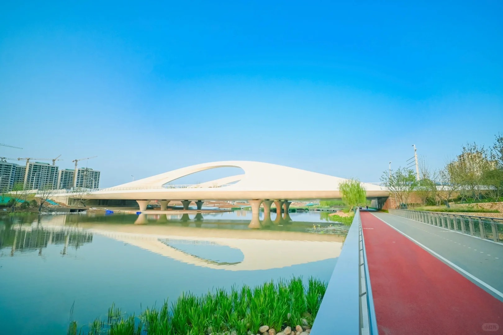 青岛张村河生态公园 | 置身自然秘境，做绿色童年的探寻者